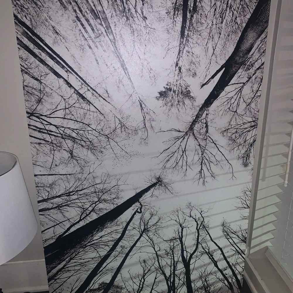 EARTHBOUND Monochrome Canopy Mural in Black & White